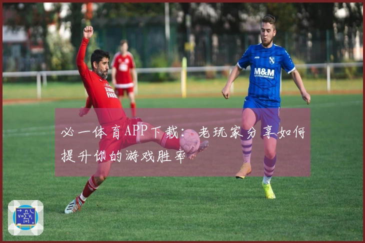 必一体育APP下载：老玩家分享如何提升你的游戏胜率